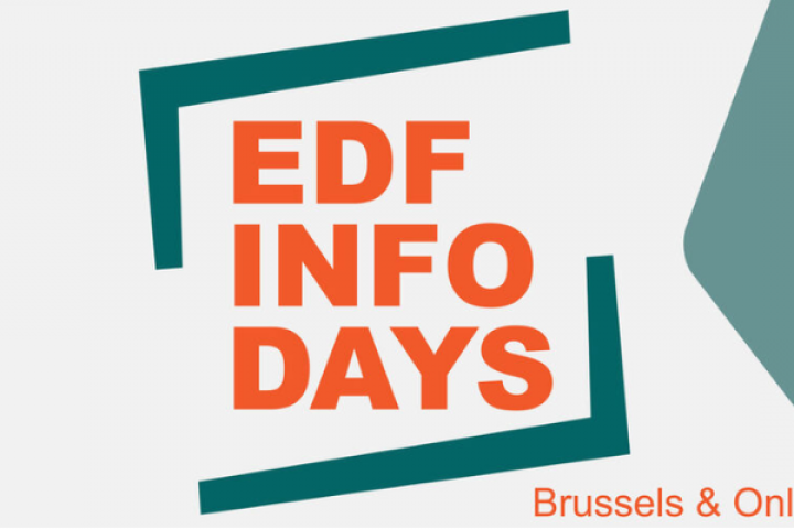 European Defence Fund 2025 | EFD 2025